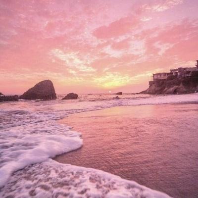 天博体育官方平台入口下载手机版截图