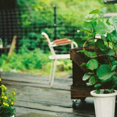 电玩舞会森林手机app下载