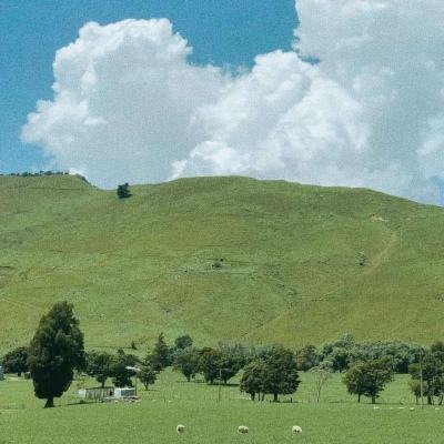 经典牛牛手机app下载