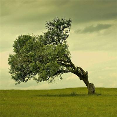 亚搏全站APP官网下载