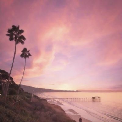 极速飞艇计划下载手机版