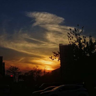 天博体育官方平台入口下载手机版