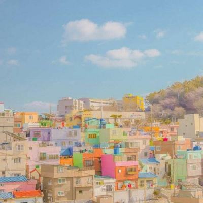 乐发彩票app下载x