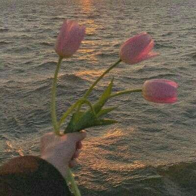 万博manbet登录手机版