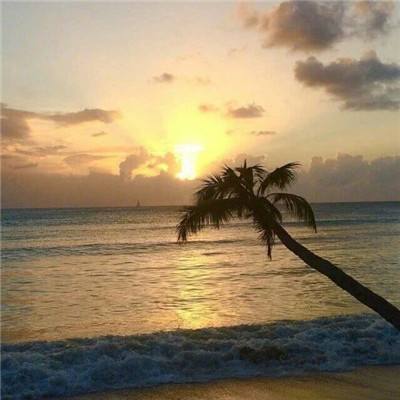 博鱼·(boyu)体育官方网站